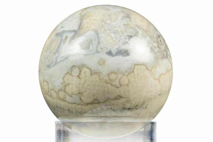 Polished Agatized Fossil Coral Sphere - Indonesia #311526